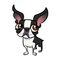Boston Terrier - design