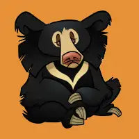 Sloth Bear - design