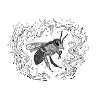 Enchanted bee - design