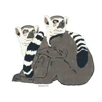 Two lemurs - design