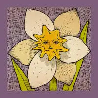 Daffodil - design