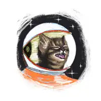 Space Kitten - design