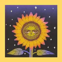 solstice bloom - design