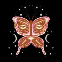 Transform - design