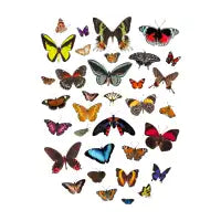 Butterflies Tee - design