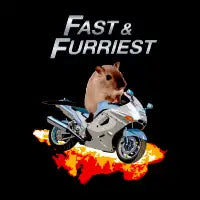 Fast And Furriest - design