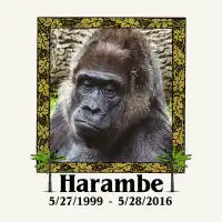 Harambe Memorial - design