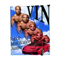 Vehicle Identification Number (V.I.N.) - design
