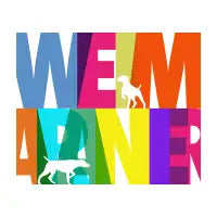 WEIMARANER COLOURS - design