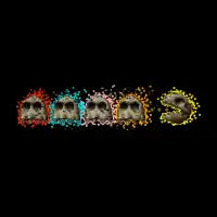I Want Your Skull - design