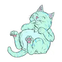 Chonk - design