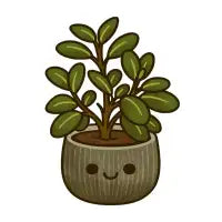 Jade - design