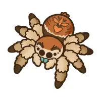 Jumping Spider - Orange Regal - design