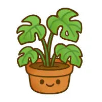 Monstera - design