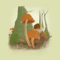 Mushrooms forest - design