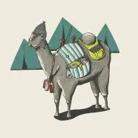 The adventurous camel - design