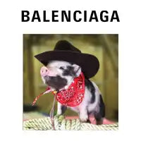 Balenciaga Pig - design