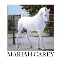 Mariah Carey - design