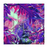 Hidden Garden - design