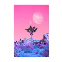 Sly Nature - design