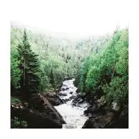 Lutsen, MN - design