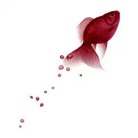 make a splash! - design