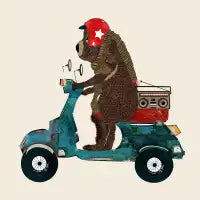 scooter bear - design