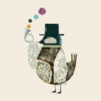 the dapper bird - design