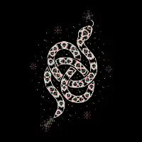 Black Diamond Back - design