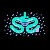 Endless Smile Black - design