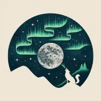Arctic Tune - design