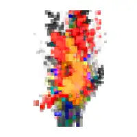 Bloom - design
