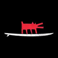 Funboard T-Shirt - design