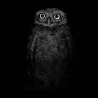 Nightwatcher - design