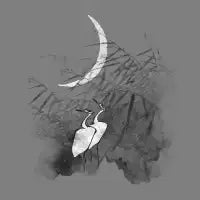Romance In The Moonlight - design