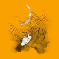 Romance - design