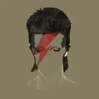 Starman - design