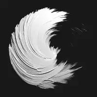 white on black - design