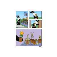 Houseplants - design