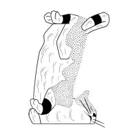 Smoosh - design