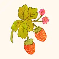 Strawberries! T-Shirt - design