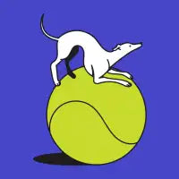 Fetch - design