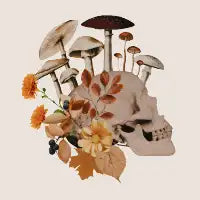 Autumnal Skull - design
