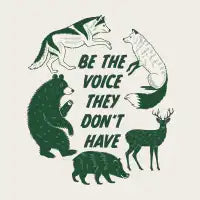 Be the Voice - design