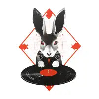 Vinyl Hare - design