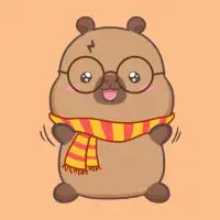 Capy Harry Potter - design