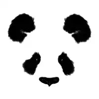 Panda - design