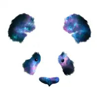 Space Panda - design