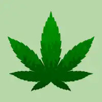 Weed - design