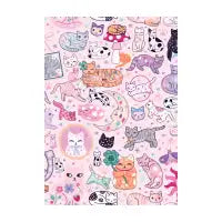 Cat Compilation - design